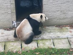 -黔灵山公园
