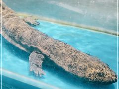 -学府海鲜批发市场