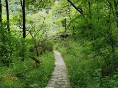 -秦岭终南山世界地质公园翠华山景区