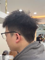 -YESIDO椰岛造型