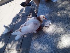 -龙口南山旅游景区