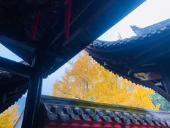 -香园自助小火锅
