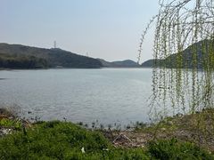 -宁波九龙湖开元度假村