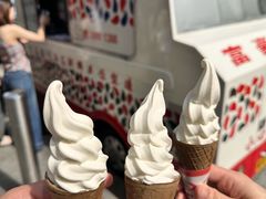 -富豪雪糕车流动点(尖沙咀)