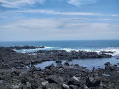 -涉地可支