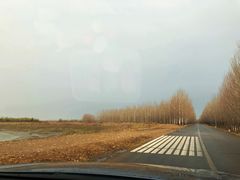 -蒲河岛湿地公园