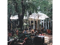 大堂-Fern Forest Cafe