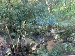 -七仙岭君澜度假酒店