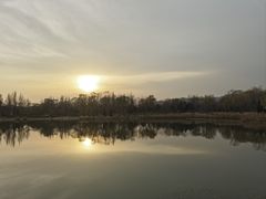 -北坞公园