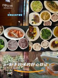 -臻康乃馨月子中心(凯宾斯基店)