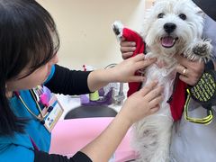 -美联众合动物医院·24h京西诊疗中心