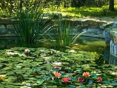 -国家植物园南园