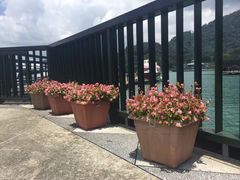 -伊达邵码头(德化社码头)