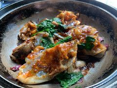 -石岐乳鸽村(南海第三分店)