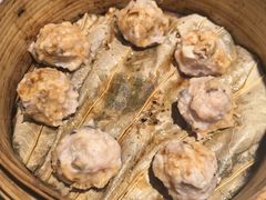 -大榕树下顺德菜(融创茂店)
