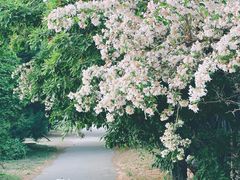 -国家植物园南园