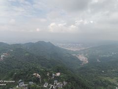 -大金鹰园