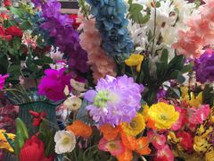 -宝鸡东道花鸟鱼虫市场(吉利花园商场店)