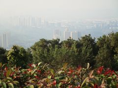 -铁山坪森林公园