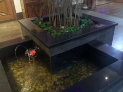 -碧露轩·大益茶体验馆(镇江路店)