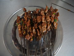 -杨记烤肉老店