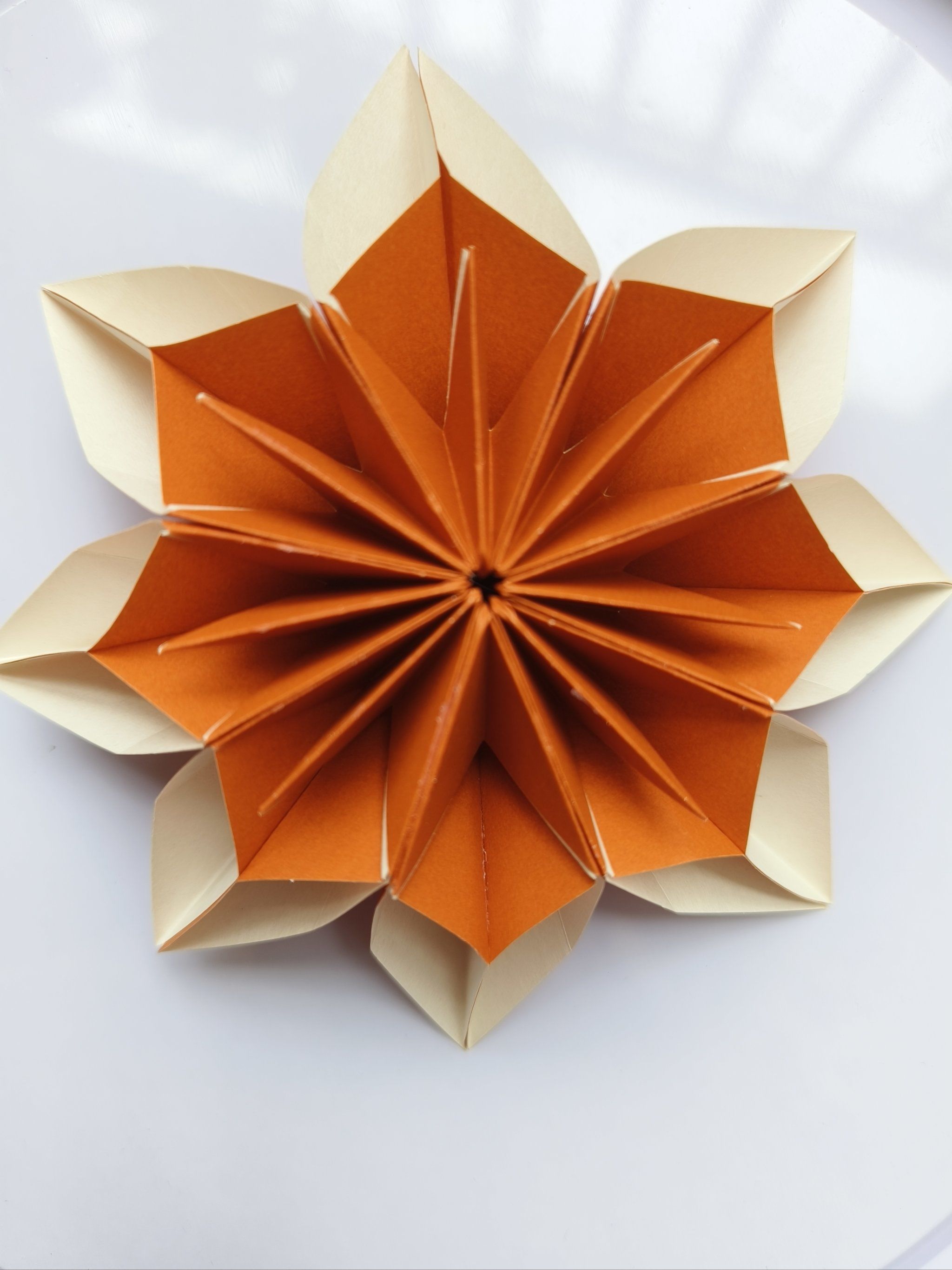 手掌上的折纸艺术