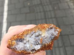 -陶记正宗德州扒鸡(科巷店)