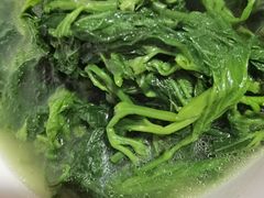 -东鸽皇(奥园·中环广场店)