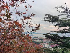 -信号山公园