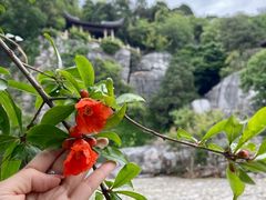-西山风景区
