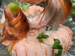 东星斑-海逸海鲜酒家(古北店)