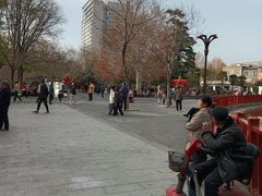 -洛阳市牡丹公园