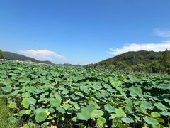 -南北湖风景区
