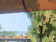 -蘇河湾·新鲁菜·泰山宴(泰山店)