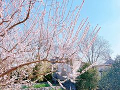 -三里河公园