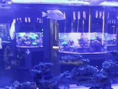 -上和臻品中国菜(花园街店)