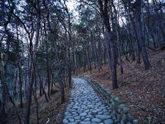 -南京市无想山景区