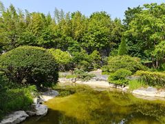 -吴淞炮台湾湿地森林公园烧烤区