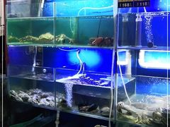 水产区-金龙·打边炉(武进路店)