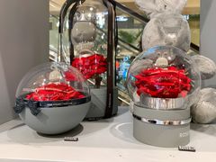 -ROSEONLY诺誓(国际广场购物中心店)