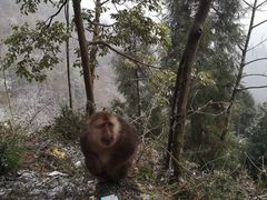 -太阳湾风景区