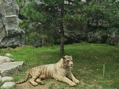 -北京野生动物园