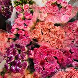 迅捷鲜花批发  《汉中门大街鲜花批发市场》