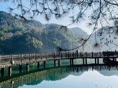 -江西阳明山国家森林公园