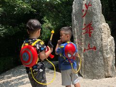-少华山国家森林公园