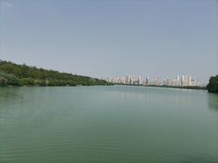 -金银湖国家城市湿地公园