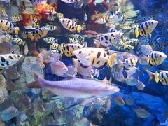 -成都浩海立方海洋公园