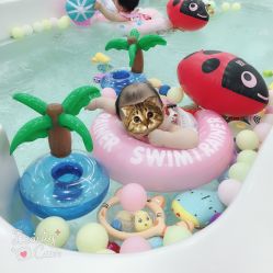 -爱玩爱游亲子母婴(旭辉广场店)