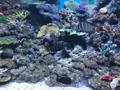 -常州海昌海洋探索馆