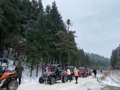 -武陵山森林公园